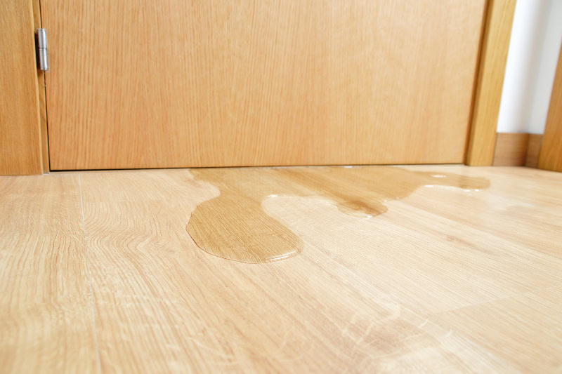 Water damage in Wasilla, AK, home caused by sewer backflow due to clogged sanitary drain.
