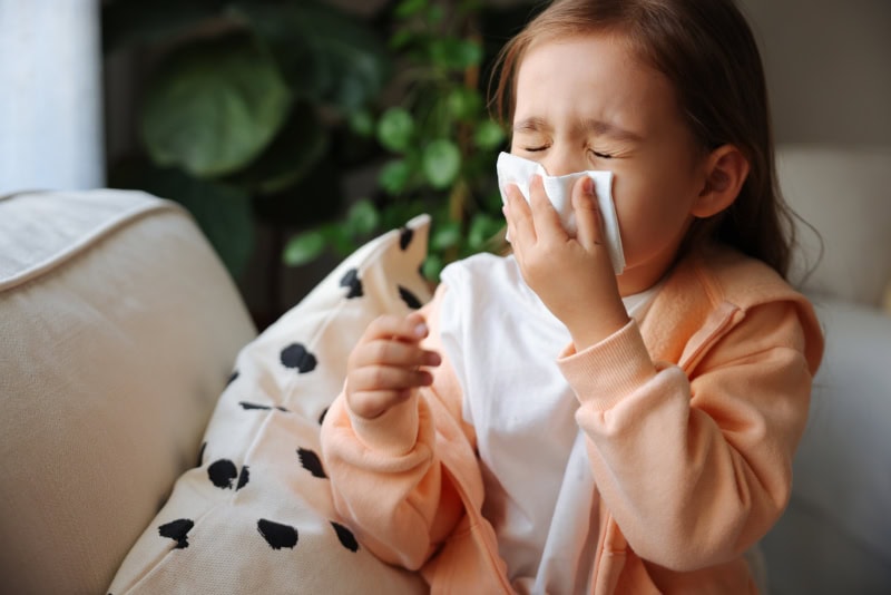 How Indoor Air Quality Affects Allergies