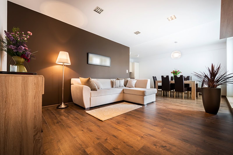 Example of a living room with excellent indoor air quality.