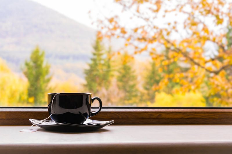 A cup of tea in front of a window with autumn view to represent better indoor air quality after purchasing a humidifier.